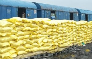 झुकेही रैक प्वाइंट में पहुंची 550 मीट्रिक टन डीएपी किसानों को ज़रूरत के मुताबिक मिलेगी पर्याप्त खाद