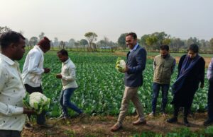 कलेक्टर पहुंचे मझगवां के खेतों में, प्राकृतिक एवं जैविक खेती का किया निरीक्षण