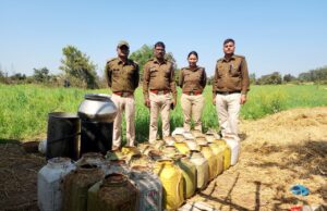 आबकारी अमले की बड़ी कार्रवाई: कटनी वृत्त क्रमांक-3 में छापेमारी, 75 हजार से अधिक की अवैध शराब व महुआ लाहन जब्त
