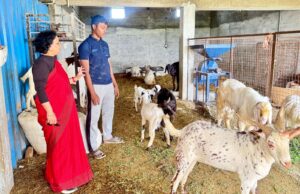 कृषि में नवाचारों को अपनाकर बीस वर्ष के तन्मय ने युवाओं को दिखाई नई राह.