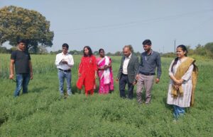 दलहन मिशन के निदेशक ने किया चना और मसूर की फसलों का अवलोकन