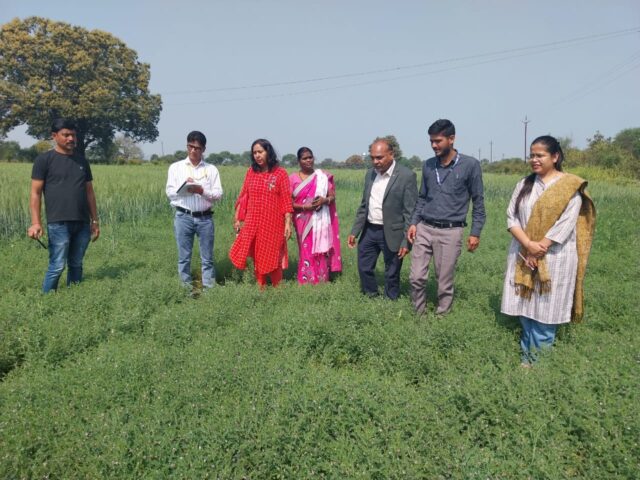 दलहन मिशन के निदेशक ने किया चना और मसूर की फसलों का अवलोकन