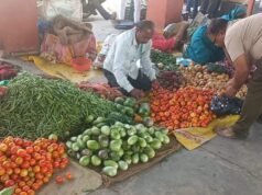 जैविक हाट में लोगों ने की पसंद के उत्पादों की खरीदारी.