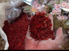 जबलपुर, 19 मार्च, 2026 भू-राजस्व की बकाया राशि जमा नहीं करने वाले बड़े बकायादारों के विरुद्ध कार्यवाही करने के कलेक्टर राघवेंद्र सिंह के निर्देशानुसार तहसीलदार बरेला द्वारा एक बिल्डर की कुकड़ीखेड़ा स्थित 2.0109 हेक्टेयर भूमि को कुर्क करने का वारंट जारी किया गया है। ज्ञात हो कि राजस्व वसूली को लेकर कलेक्टर राघवेंद्र सिंह ने राजस्व अधिकारियों को कार्यवाही के निर्देश दिए थे। जिसके परिपालन में तहसीलदार बरेला शशांक दुबे द्वारा मेसर्स स्क्वायरफीट डेवलपर विनय बन्ने, सुलेख चौकसे, राजेंद्र कुमार को भू-राजस्व जमा करने हेतु निर्देशित किया गया था। परंतु, अनेक अवसर प्रदान करने के बाद भी 11 लाख 92 हजार 818 रुपये का बकाया भू राजस्व जमा नहीं की गई। बकाया भू-राजस्व की राशि जमा नहीं करने पर तहसीलदार बरेला द्वारा कड़ी कार्यवाही करते हुए मेसर्स स्क्वायरफीट डेवलपर के खिलाफ कुर्की वारंट जारी किया गया। इसके साथ ही इस कॉलोनाइजर की ग्राम कुकड़ीखेड़ा स्थित खसरा नंबर 20, 21, 22/2 एवं 23/2 की भूमि को विक्रय, दान या अन्यथा हस्तांतरित करने या भार मुक्त करने से आगामी आदेश तक निषेधित कर दिया गया है। तहसीलदार बरेला शशांक दुबे के अनुसार मांग पत्र जारी किये जाने के बावजूद भू-राजस्व की राशि जमा नहीं करने वाले तहसील के अन्य बकायादारों के खिलाफ भी कार्यवाही की जा रही है।