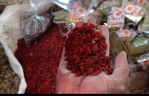 जबलपुर, 19 मार्च, 2026 भू-राजस्व की बकाया राशि जमा नहीं करने वाले बड़े बकायादारों के विरुद्ध कार्यवाही करने के कलेक्टर राघवेंद्र सिंह के निर्देशानुसार तहसीलदार बरेला द्वारा एक बिल्डर की कुकड़ीखेड़ा स्थित 2.0109 हेक्टेयर भूमि को कुर्क करने का वारंट जारी किया गया है। ज्ञात हो कि राजस्व वसूली को लेकर कलेक्टर राघवेंद्र सिंह ने राजस्व अधिकारियों को कार्यवाही के निर्देश दिए थे। जिसके परिपालन में तहसीलदार बरेला शशांक दुबे द्वारा मेसर्स स्क्वायरफीट डेवलपर विनय बन्ने, सुलेख चौकसे, राजेंद्र कुमार को भू-राजस्व जमा करने हेतु निर्देशित किया गया था। परंतु, अनेक अवसर प्रदान करने के बाद भी 11 लाख 92 हजार 818 रुपये का बकाया भू राजस्व जमा नहीं की गई। बकाया भू-राजस्व की राशि जमा नहीं करने पर तहसीलदार बरेला द्वारा कड़ी कार्यवाही करते हुए मेसर्स स्क्वायरफीट डेवलपर के खिलाफ कुर्की वारंट जारी किया गया। इसके साथ ही इस कॉलोनाइजर की ग्राम कुकड़ीखेड़ा स्थित खसरा नंबर 20, 21, 22/2 एवं 23/2 की भूमि को विक्रय, दान या अन्यथा हस्तांतरित करने या भार मुक्त करने से आगामी आदेश तक निषेधित कर दिया गया है। तहसीलदार बरेला शशांक दुबे के अनुसार मांग पत्र जारी किये जाने के बावजूद भू-राजस्व की राशि जमा नहीं करने वाले तहसील के अन्य बकायादारों के खिलाफ भी कार्यवाही की जा रही है।