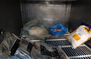 होमसाइंस कॉलेज रोड़ स्थित रोल्स मेनिया का खाद्य पंजीयन निलंबित एक ही फ्रीजर में रखे थे वेज और नॉनवेज खाद्य पदार्थ