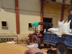 जिले में समर्थन मूल्य पर गेहूं उपार्जन शुरू