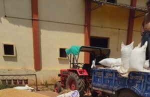 जिले में समर्थन मूल्य पर गेहूं उपार्जन शुरू