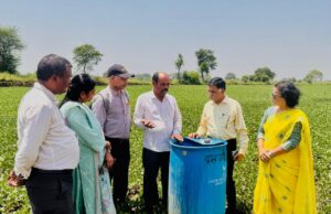 पाटन के किसान ने प्राकृतिक खेती अपनाकर प्राप्त किया 19 क्विंटल प्रति एकड़ गेहूँ का उत्पादन.